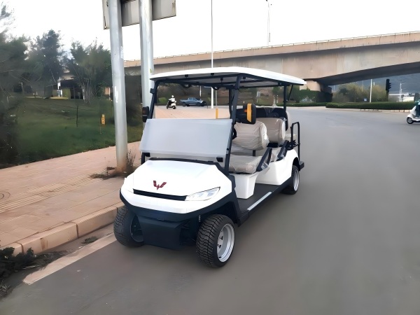 西藏拉萨五菱电动高尔夫球车6座、（WLDT542）